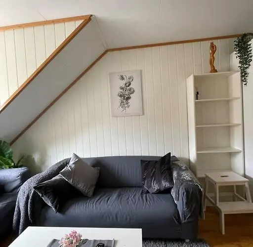 Апартаменты Center Stylish Loft Тронхейм